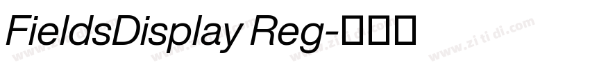 FieldsDisplay Reg字体转换